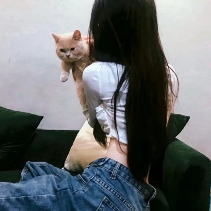 谁说我结不了婚